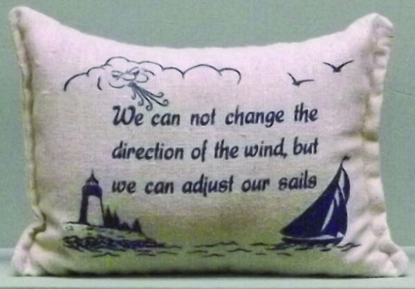 "Can Not Change" Pillow - 4" x 6"