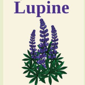 Lupine Long Stick Incense