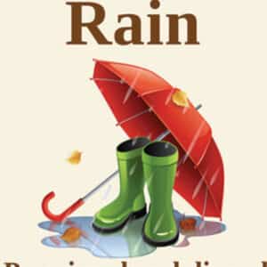 Rain Long Stick Incense